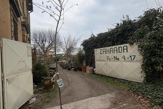 Nový přírůstek  1