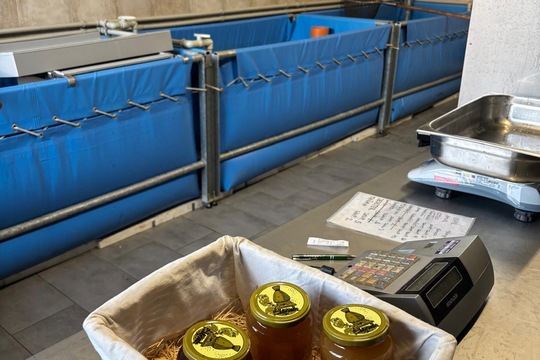 Lokální a čerstvé  1