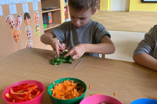 Chefs in Training - Spring Rolls  1