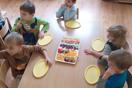 Program Zdravá 5 1