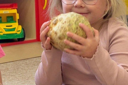 Ovoce a zelenina jako součást matematické gramotnosti Ovoce a zelenina jako součást matematické gramotnosti 1