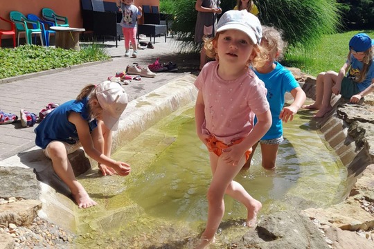 Sklízení plodů z jedlé zahrady MŠ Chleny 1
