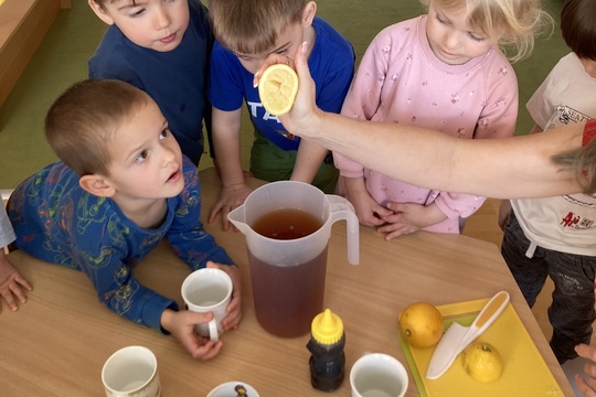 Vitamínový čaj - Berušky 1