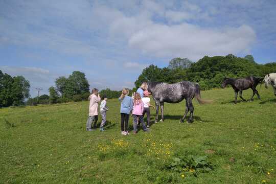 Návštěva farmy "Appaloosa". 1