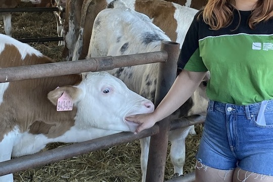 Školka v akci: Jak se rodí láska k přírodě a zemědělství Školka v akci: Jak se rodí láska k přírodě a zemědělství 1