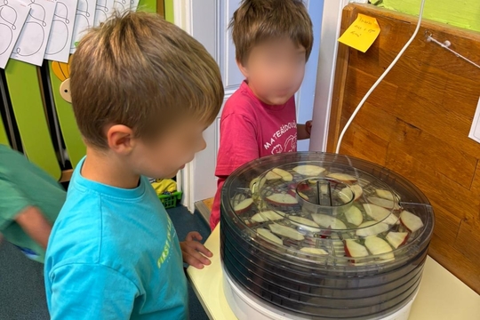 Jablíčka v hlavní roli  Jablíčka v hlavní roli  1