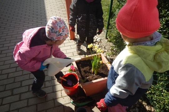 JARNÍ SÁZENÍ DÝNÍ A KVĚTIN  V BERUŠKÁCH 1