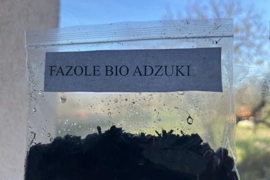UČÍME SE PROŽITKEM aneb naše fazole 1