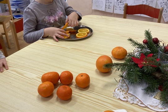 Sušené pomeranče a mandarinky 1