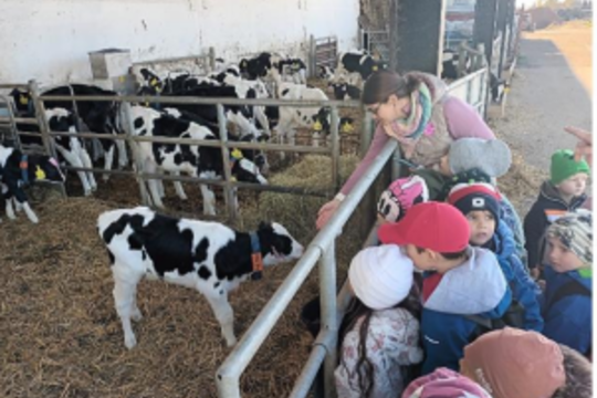 Třída Chobotniček na návštěvě na farmě 1