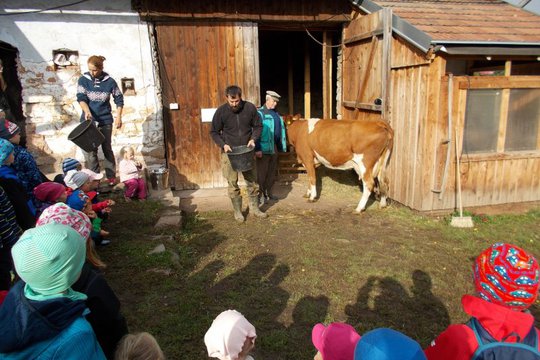 Na farmě v Částkově 1