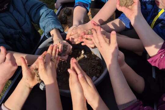 Zasaď dobro s kuřátkem  1