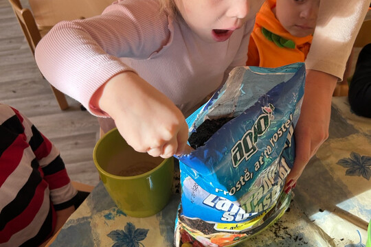 Péče o bylinky z hydroponické zahrádky Péče o bylinky z hydroponické zahrádky 1