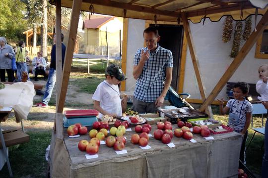 Podzimní farmářský trh v Dětenicích 1