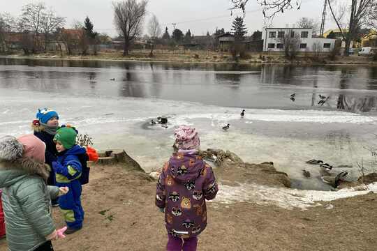 Výprava za labutěmi Výprava za labutěmi 1