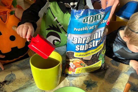 Péče o bylinky z hydroponické zahrádky Péče o bylinky z hydroponické zahrádky 1