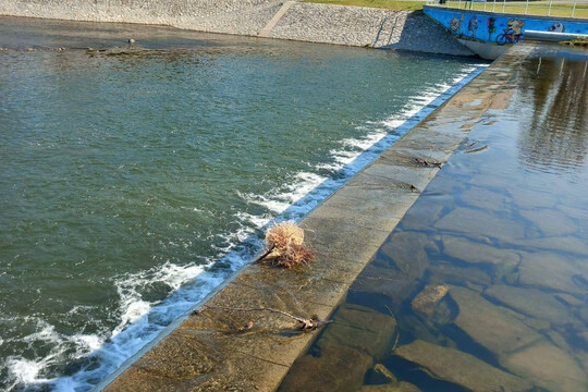 Vynášení Morany 1