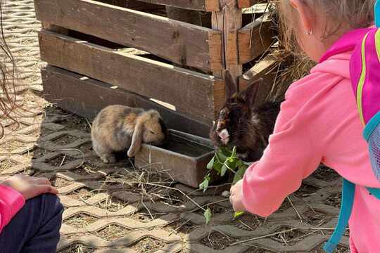Výlet za zvířátky - Zoopark Zelčín 1