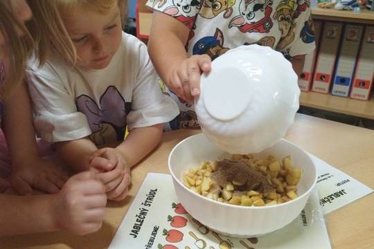 Jablečný štrůdl 1