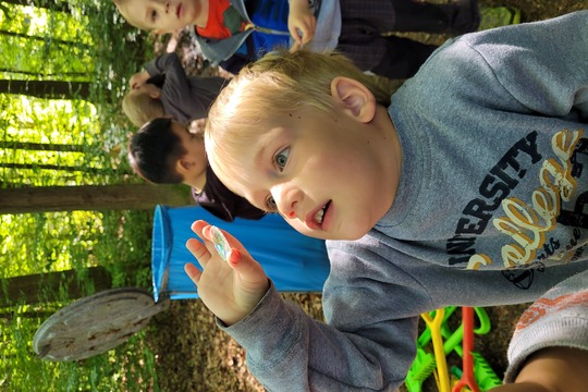 Studánková víla a čištění studánek 1