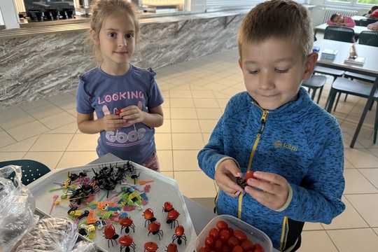 Hravě zdravě s výživovou poradkyní Nikolou Pelcovou 1