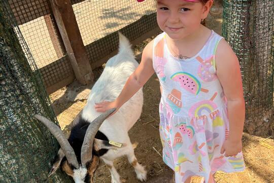 FARMAPARK U TOMA 1