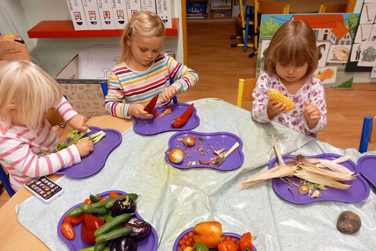 Zeleninová polévka 1