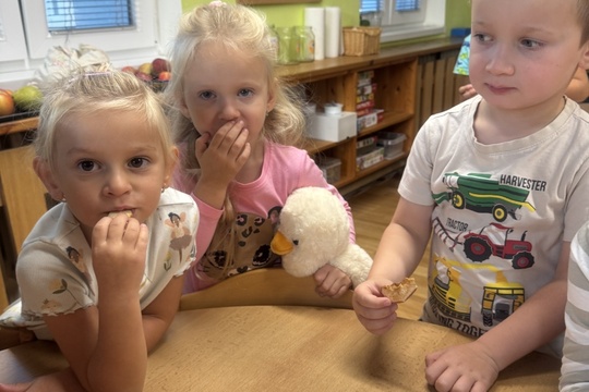 Zdravá pochoutka z jablek 1