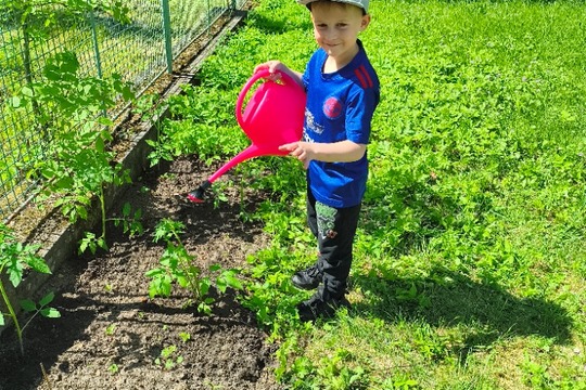 Naše malá školková zahrádka jen kvete Naše malá školková zahrádka jen kvete 1