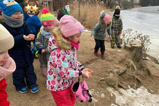 Výprava za labutěmi Výprava za labutěmi 1