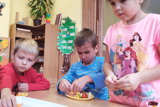 Program Zdravá 5 1