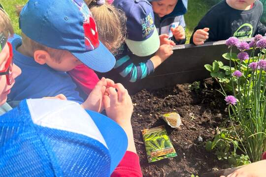 Péče o záhonky 1