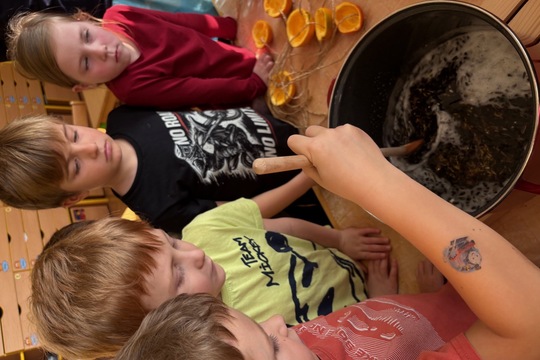 Závěsná krmítka - Sluníčka 1