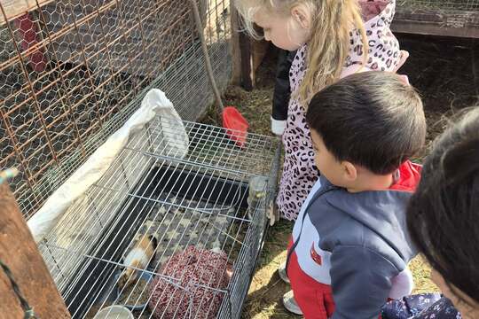 Modráček na Farmě Skalka Modráček na Farmě Skalka 1