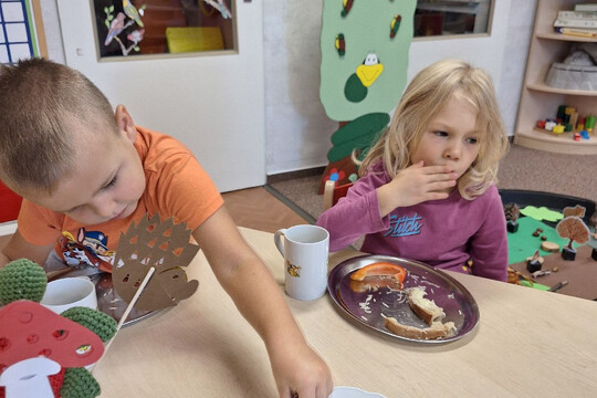 Třída Želviček - Sušení šípků na čaj 1