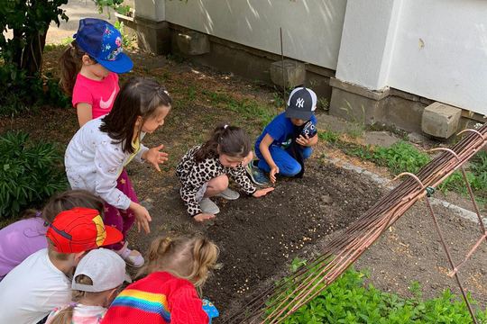 June Planting 1