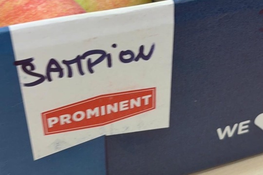 Šest druhů jablek  1