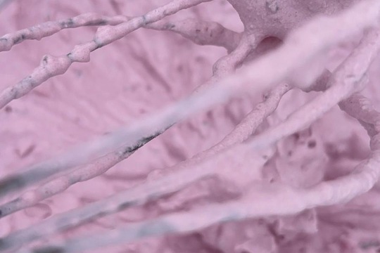 Sníh+ mráz + my = zmrzlina  1