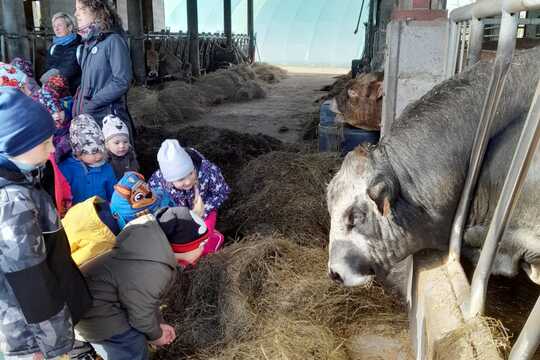 Za telátky, kůzlaty a pilnými včelkami Za telátky, kůzlaty a pilnými včelkami 1