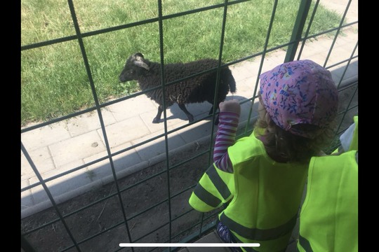 Návštěva farmy v Hlučíně 1
