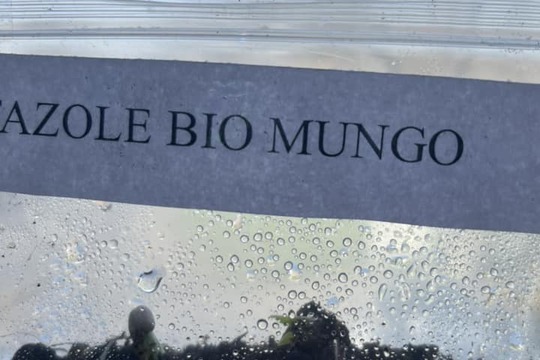 UČÍME SE PROŽITKEM aneb naše fazole 1