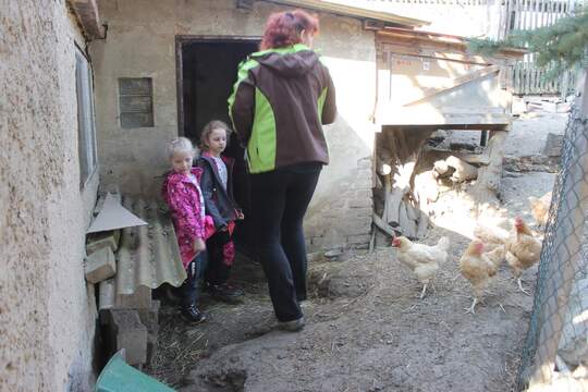 Výlet do Lenešic za zvířátky 1