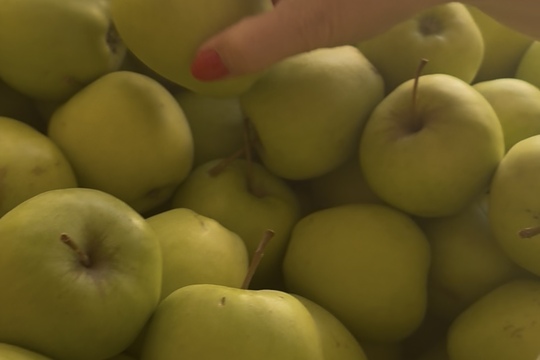 Nákupy u farmáře  1