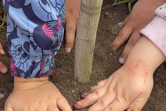 Nový přírůstek  1