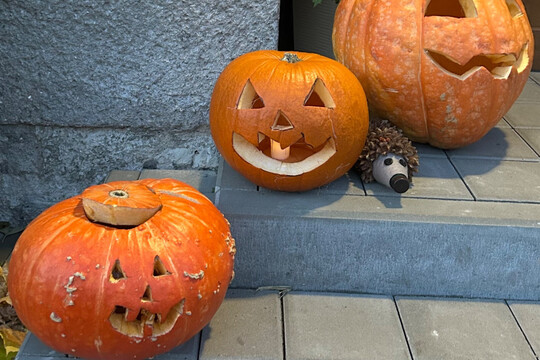 Podzimní dýňování ve školce Podzimní dýňování ve školce 1