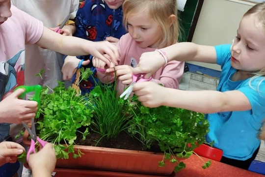 Klíčící sklenice a koflíky s bylinkami ve třídách školky 1