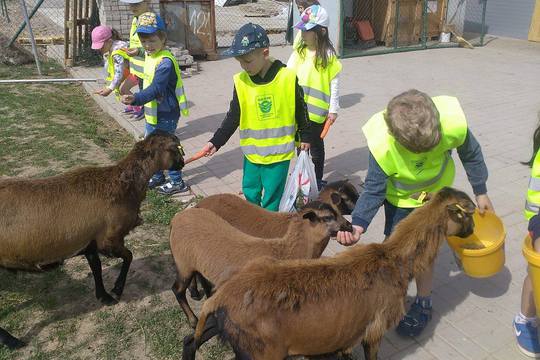 Výlety na farmu 1