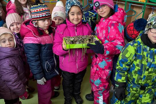 Pomáháme ptáčků přečkat zimu 1