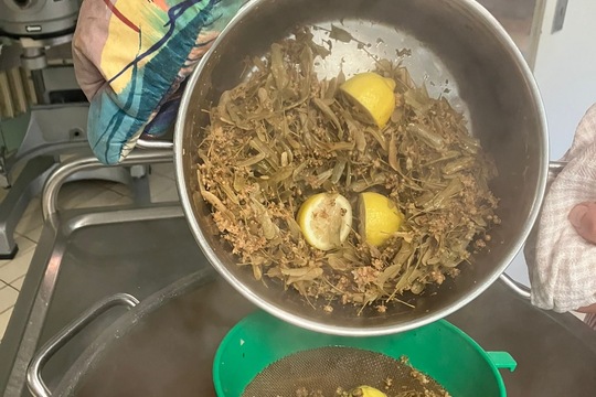 Vůňe lipového čaje Vůňe lipového čaje 1