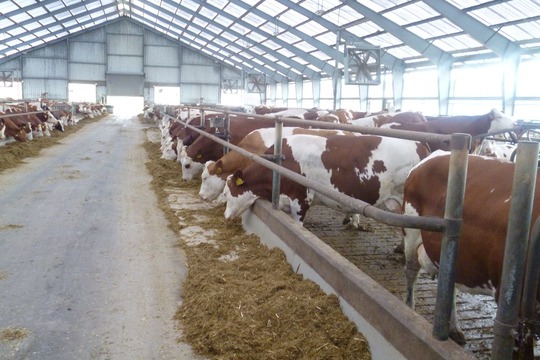 Děti na farmě 1